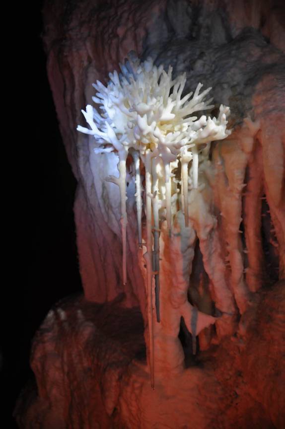 Perfeita flôr de calcita na caverna de São Mateus, no P. E. de Terra Ronca, região de São Domingos - GO